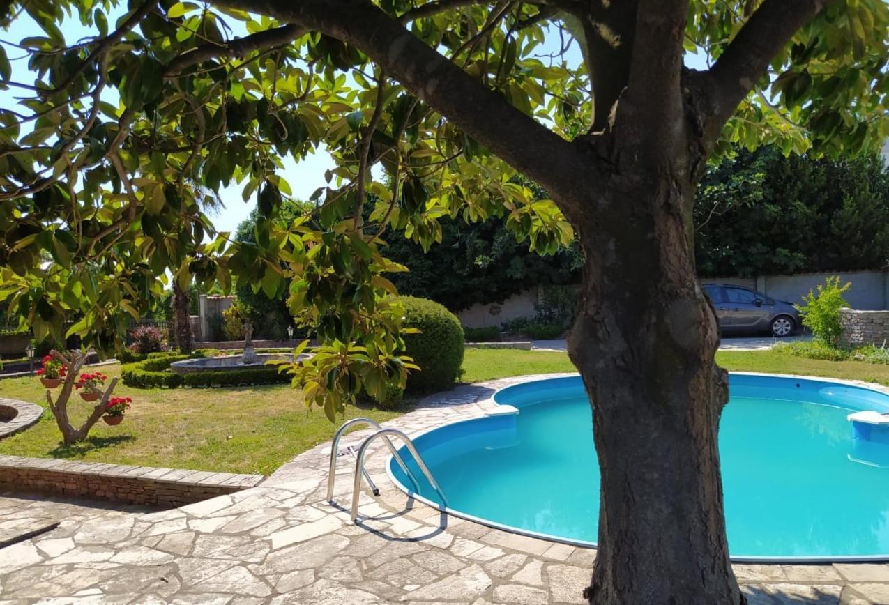 Leisure House Jovovic Villa Bar Exterior foto